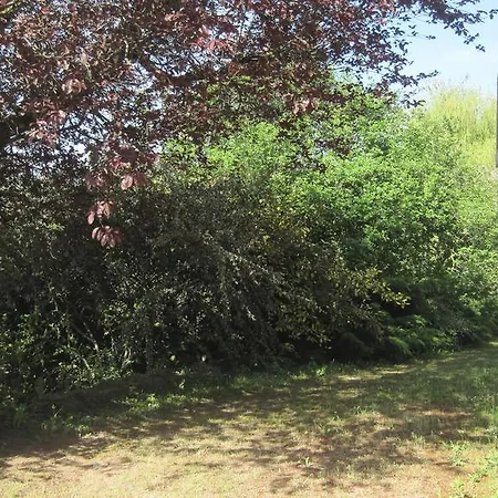Le Prunus